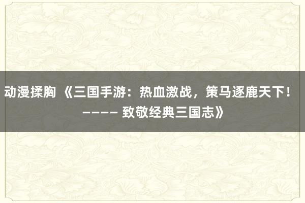 动漫揉胸 《三国手游：热血激战，策马逐鹿天下！ ———— 致敬经典三国志》